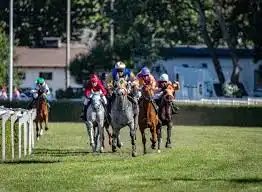 horse results