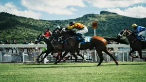 horse results 2