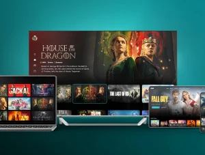 Now TV on Roku